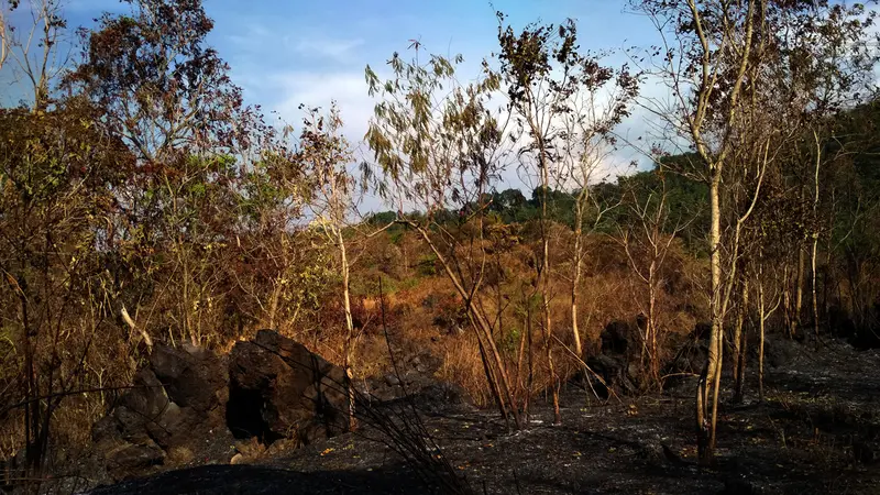 Gunung Ciremai terbakar