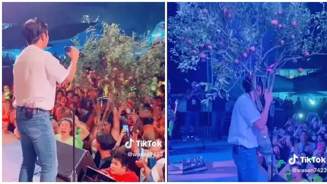 Video Penyanyi Thailand Terima Hasil Bumi hingga Pohon saat Manggung Ini Jadi Sorotan
