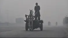 Seorang lelaki menunggang kuda di tengah kondisi kabut asap tebal di Lahore, Pakistan (21/11/2019). Lahore pada hari Kamis (21/11) menduduki peringkat global untuk kota dengan kualitas udara terburuk dan berbahaya. (AFP Photo/Arif Ali)