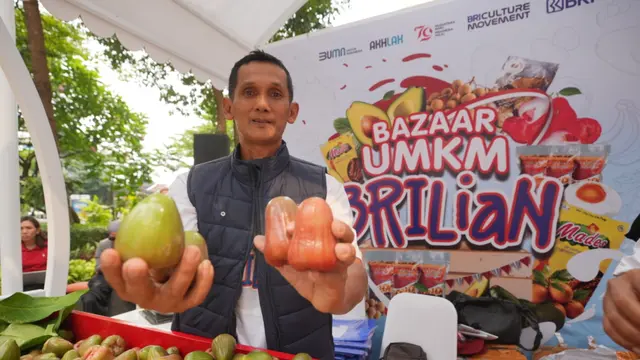 KUR BRI Bantu Pengusaha Jambu Citra Asal Kudus Berkembang Pesat, Ini Buktinya