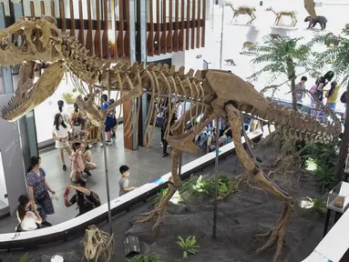 Anak-anak berjalan melewati replika fosil kerangka dinosaurus selama Pameran Paleontologi di Museum Nasional Taiwan di Taipei pada 11 Juli 2023. (AFP/Sam Yeh)