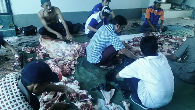 17 Tahun Berlalu, Virus Jembrana Kembali Mewabah di Sumsel