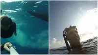 Pengalaman tak terlupakan ketika seorang penyelam tidak menyangka hiu yang sedang direkamnya membuang tinja di mukanya. (Sumber AOL.com)