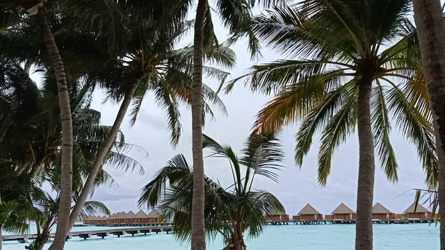 Kapan Waktu Terbaik Berwisata ke Maladewa?