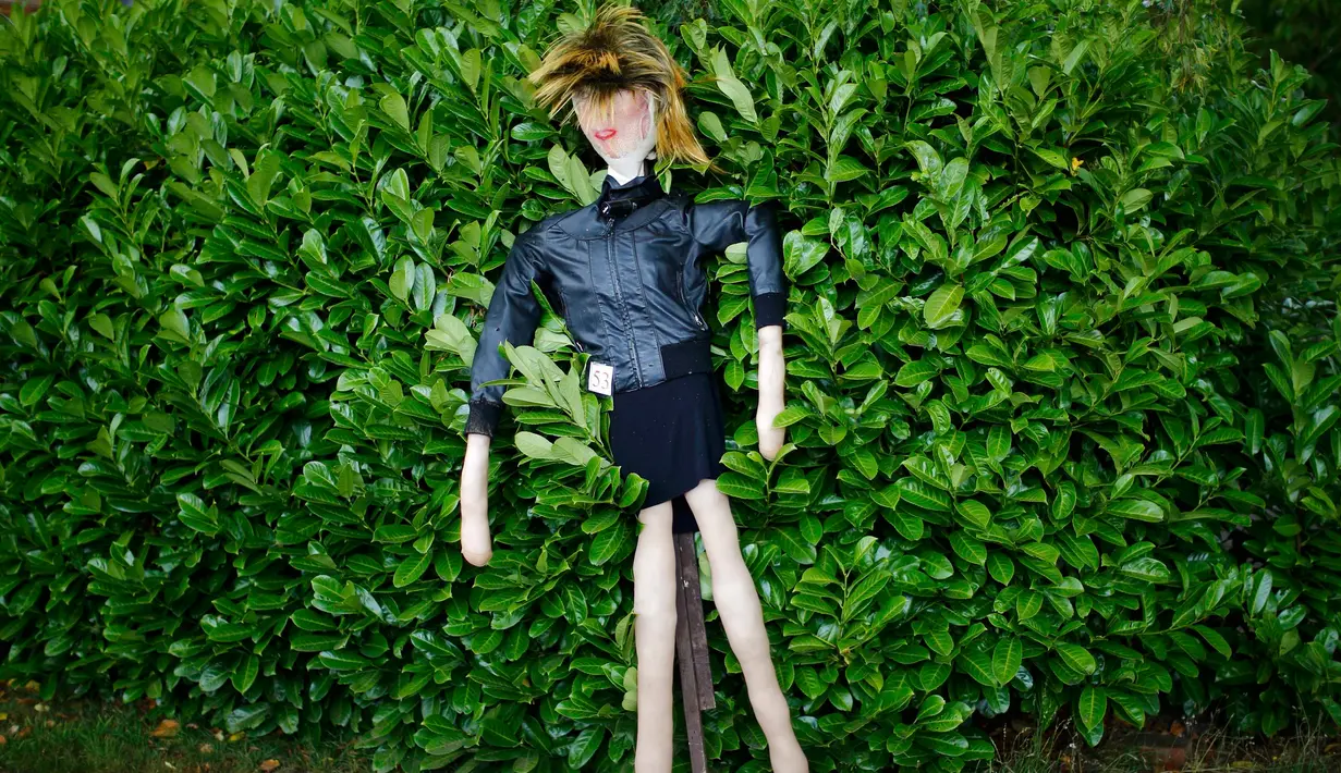 Orang-orangan sawah dari penyanyi Tina Turner berdiri di sebuah semak saat Festival Scarecrow di Heather, Inggris, 28 Juli 2015. Festival sejak 1999 ini selalu menarik perhatian wisatawan mancanegera  untuk berdatangan ke Inggris. (REUTERS/Darren Staples)
