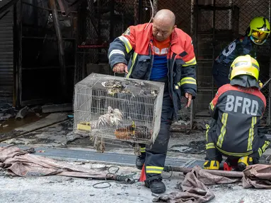 Seorang petugas pemadam kebakaran membawa ayam yang terluka di dalam kandang setelah kebakaran di pasar hewan peliharaan di sebelah pasar Chatuchak di Bangkok, Thailand pada tanggal 11 Juni 2024. (Chanakarn Laosarakham/AFP)