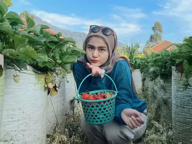 Selebgram hits dengan jumlah followers 1,7 juta ini selalu tampil menawan di berbagai momen. Seperti momen liburan santai di area pegunungan untuk memetik stroberi. Gaya santainya saat memetik stroberi tetap cantik memesona meskipun tampil simpel. (Liputan6.com/IG/@alifhiafitri)