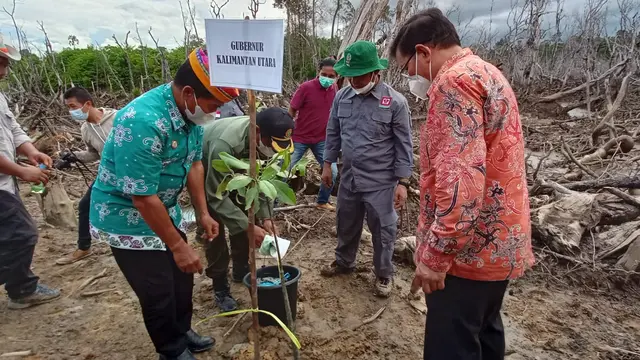 Perairan bulungan