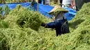 Pertanian Bali hingga April 2026 dinilai aman dengan panen yang merata. Tampak dalam foto, seorang petani sedang mengirik padi hasil panen di Denpasar, Bali, pada Kamis 30 April 2026. (SONNY TUMBELAKA/AFP)