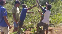 Foto: Kelompok pemuda yang tergabung dalam kelompok tani di Manggarai Timur sedang berada di ladang holtikultura yang sedang dirintis (Liputan6.com/Yopie Moon)