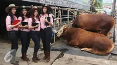Sales Promotion Girl (SPG) berpose di dekat hewan kurban yang dijual di Mal Hewan Qurban H. Doni, Kelapa Dua Depok, Jawa Barat, Senin (29/8). Keberadaan SPG cantik ini menjadi daya tarik tersendiri. (Liputan6.com/Immanuel Antonius)