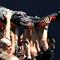 Marco Bezzecchi dari Tim Aprilia Racing merayakan kemenangan bersama timnya setelah Grand Prix MotoGP Italia di sirkuit Mugello, di Mugello, dekat Florence, pada 31 Mei 2026. (Andreas SOLARO/AFP)