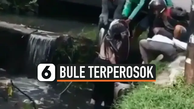 BULE TERPEROSOK