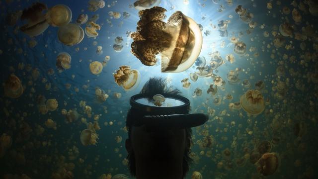 Terbuai Pesona Tersembunyi Raja Ampat