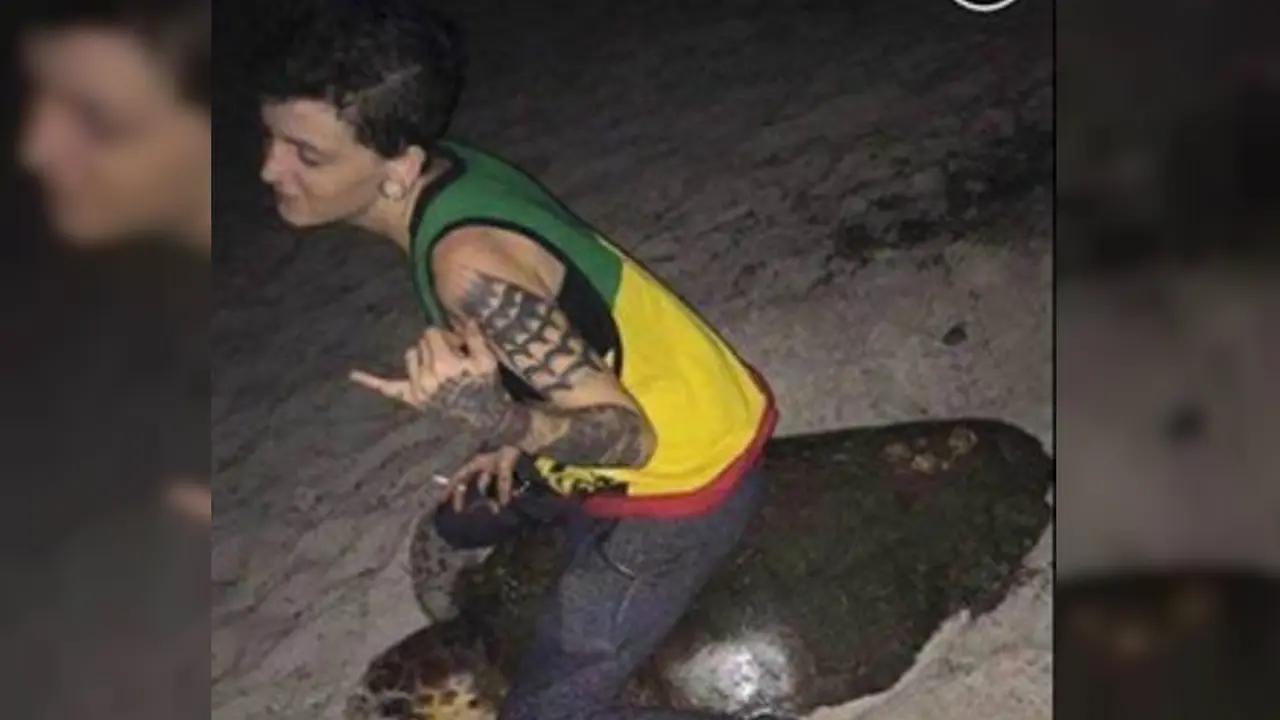 Tunggangi Penyu Laut Langka, Perempuan ini Ditahan