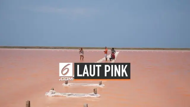 Fenomena alam terjadi di sebuah pantai di Kolombia. Air yang tadinya berwarna biru tiba-tiba berubah menjadi pink. Ternyata, ini penyebabnya.