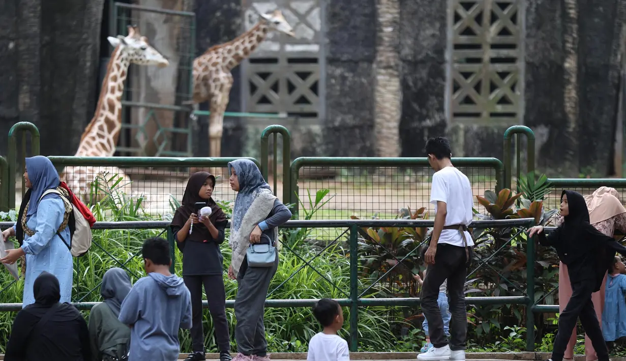 Pengunjung saat menikmati suasana Taman Margasatwa Ragunan, Jakarta, Jumat (5/8/2025). (Kapanlagi.com/Budy Santoso)