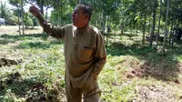 Guru SD di Bengkalis Riau menolak kembali menanam sawit di lahan gambutnya (Liputan6.com / M.Syukur)