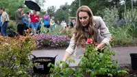 Dobrakan Gaya Kate Middleton Saat Muncul Kembali di Publik untuk Tanam Mawar dengan Tangan Kosong