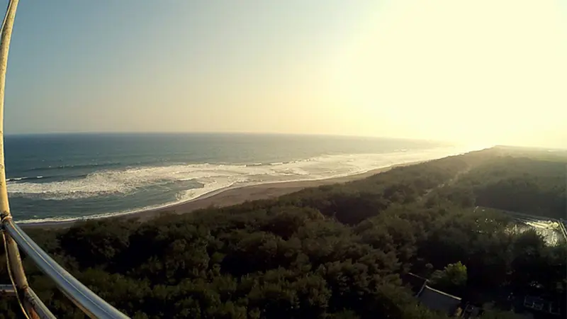 Pantai Goa Cemara jadi tempat konservasi penyu
