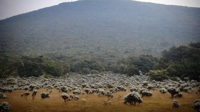 Alun-Alun Surya Kencana