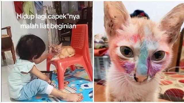 Momen Kucing Didandani Anak Kecil Ini Bikin Gemas, Pasrah Banget