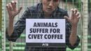 Aktivis People for the Ethical Treatment of Animals (PETA) mengurung diri di dalam kandang saat aksi teatrikal mengecam eksploitasi luwak untuk kepentingan produksi kopi di depan Kantor Kementerian Lingkungan Hidup dan Kehutanan (KLHK), Jakarta, Rabu (25/1/2023). Investigasi PETA mengungkapkan luwak di Indonesia ditangkap dari habitat alami dan dikurung di dalam kandang sempit dan hampir tidak diberi makan apapun kecuali buah kopi yang menyebabkan hewan tersebut berpilaku stereotipikal atau stres. (merdeka.com/Iqbal S Nugroho)