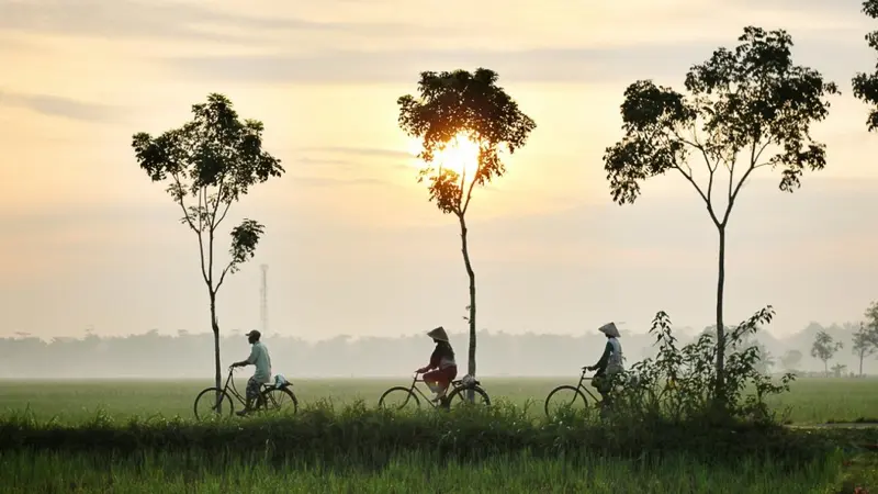 Happiness Festival 2020: Webinar Ajak Masyarakat Indonesia Hidup Bahagia, Bertoleransi, dan Lestarikan Alam