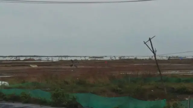 2.800 Hektare Lahan Garam Cirebon Kebanjiran Air Laut Saat Hendak Produksi