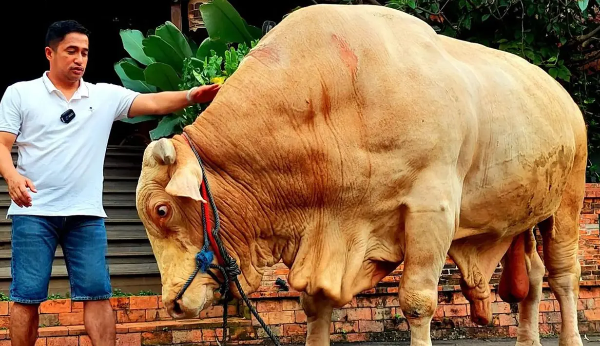 "Mudah-mudahan bisa jadi inspirasi banyak orang untuk memberikan yang terbaik. Jangan dilihat dari jumlah bobot dan rupiahnya, tapi keikhlasannya," kata Irfan Hakim. (Instagram/irfanhakim75)