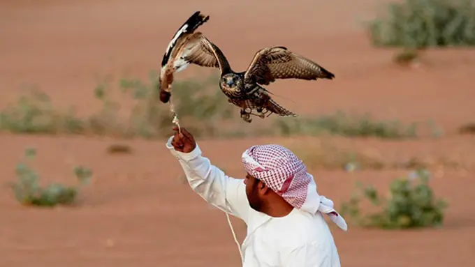 Photo: Copyright familytraveller.com