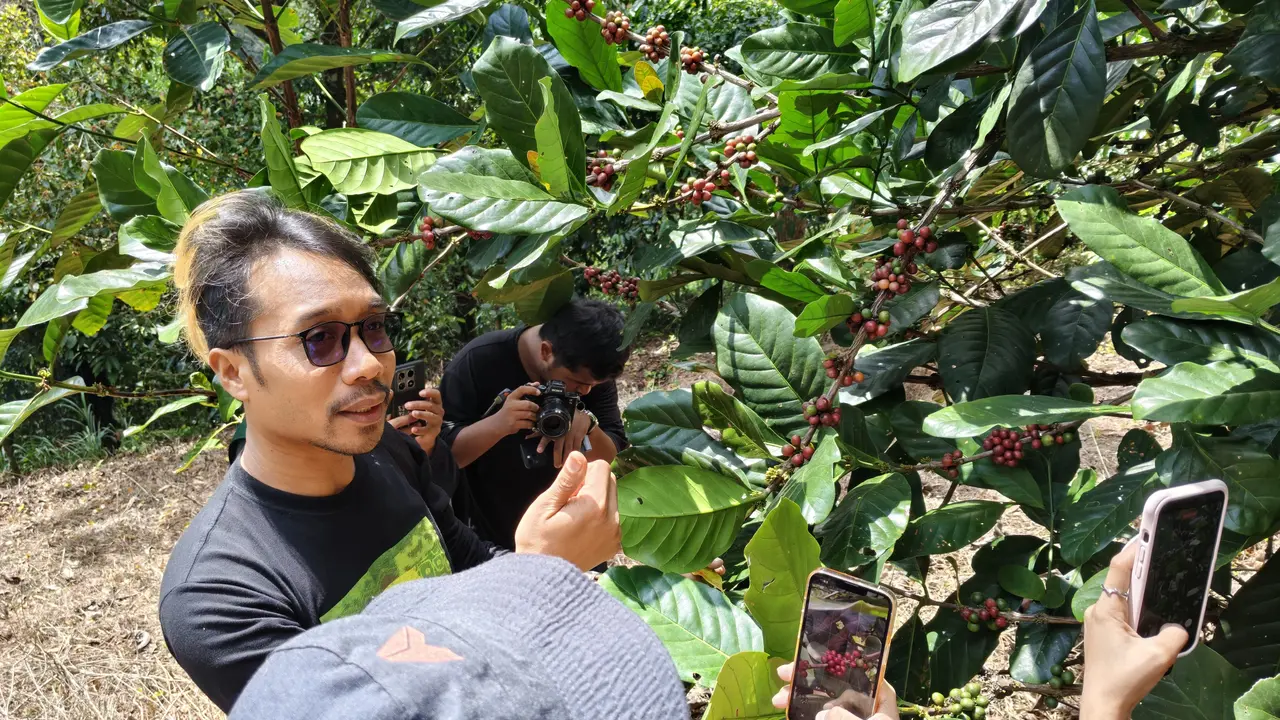 Petani Kopi di Sinjai. (Liputan6.com/Fauzan)