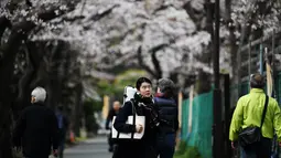 Sejumlah warga berjalan di bawah pohon sakura yang sedang mekar bunganya di distrik Taito, Tokyo, Jepang (26/3). Memasuki akhir Maret, pohon bunga sakura mulai bermekaran di sejumlah wilayah Jepang. (AFP Photo/Charly Triballeua)
