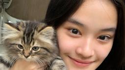 Aura cantik member JKT48 kelahiran 8 Januari 2005 terlihat meski tampil tanpa makeup. Penampilan naturan Ashel sukses menyita perhatian terlebih ia menggendong kucing yang bikin gemas. Foto Ashel gendong kucing ini sukses 
banjir like dari netizen. (Liputan6.com/IG/@jkt48.ashel)