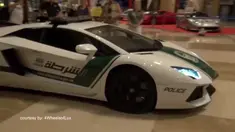 Untuk memenuhi pekerjaannya mengejar penjahat, kepolisian di beberapa negara dibekali mobil sport berkecepatan tinggi