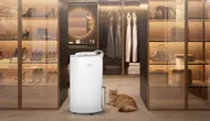 Tips Memilih Dehumidifier untuk Cegah Jamur, Bau Apek, dan Udara Lembap yang Ganggu Kesehatan