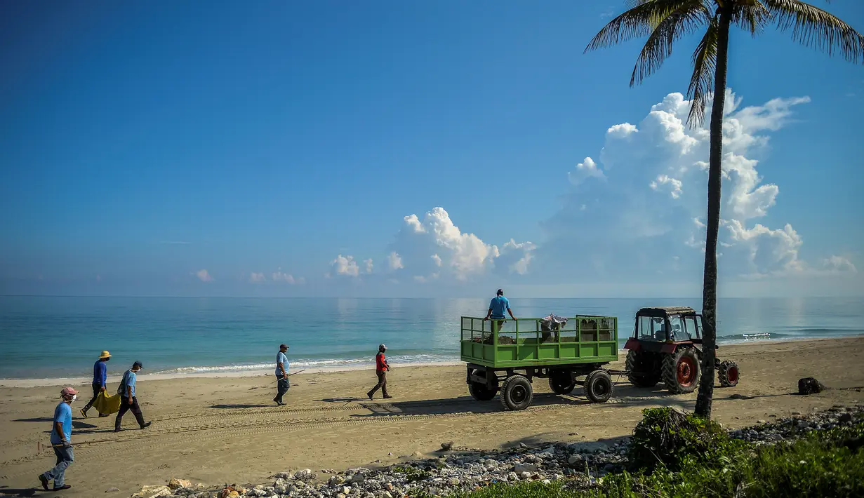 Para pekerja dengan mengenakan masker membersihkan pantai di Havana pada Senin (15/6/2020). Kuba akan menguji semua pelancong untuk Covid-19 dan membatasi kontak mereka dengan penduduk setempat ketika perbatasan dibuka kembali untuk turis asing. (Yamil LAGE / AFP)