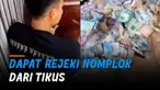 Pasangan suami istri ini membagikan momen mereka kala mendapat rejeki nomplok dari tikus di rumahnya.