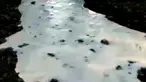 (Liputan6 TV)
