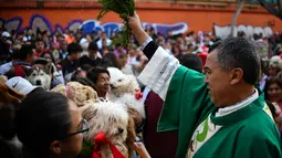 Pendeta Meksiko Moises memberkati hewan di Gereja San Pablo Ermitano, di lingkungan Izimapalapa, Mexico City, Meksiko (22/1). Santo Anthony ini dirayakan umat Katolik pada pertengahan bulan Januari setiap tahunnya. (AFP Photo/Ronaldo Schemidt)