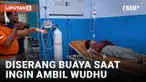 Niat Ambil Air Wudhu, IRT Diserang Buaya hingga ke Sungai