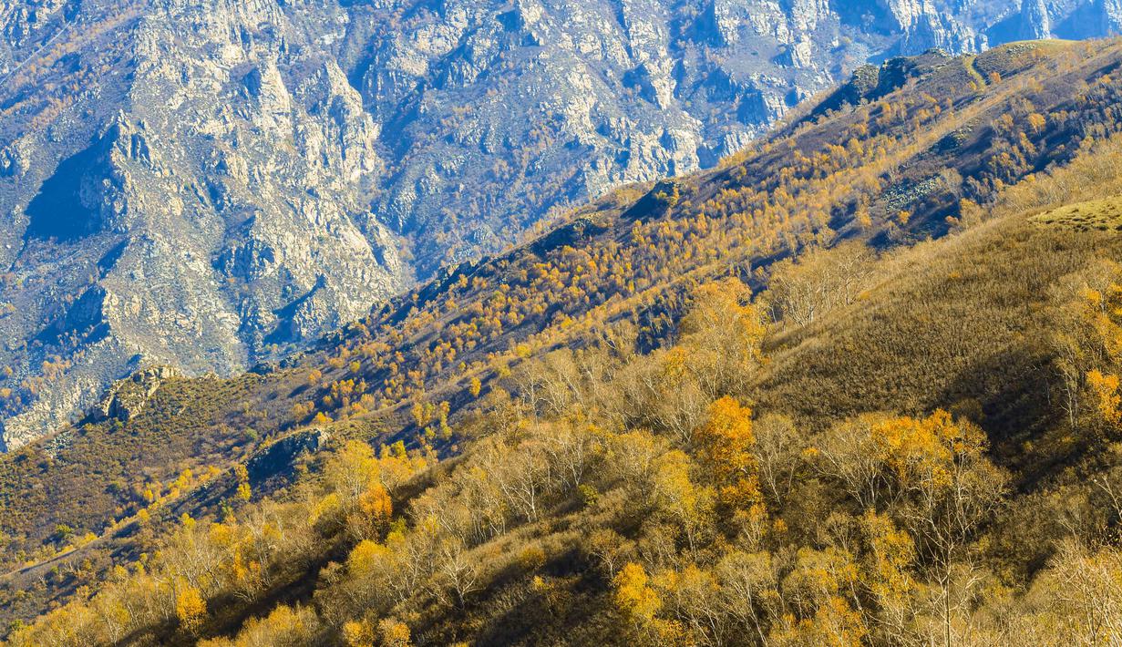 FOTO: Pemandangan Musim Gugur di Taman Hutan Nasional ...