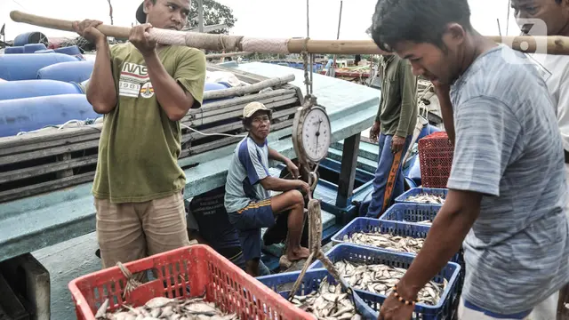 Harga Ikan Mulai Naik Jelang Ramadan