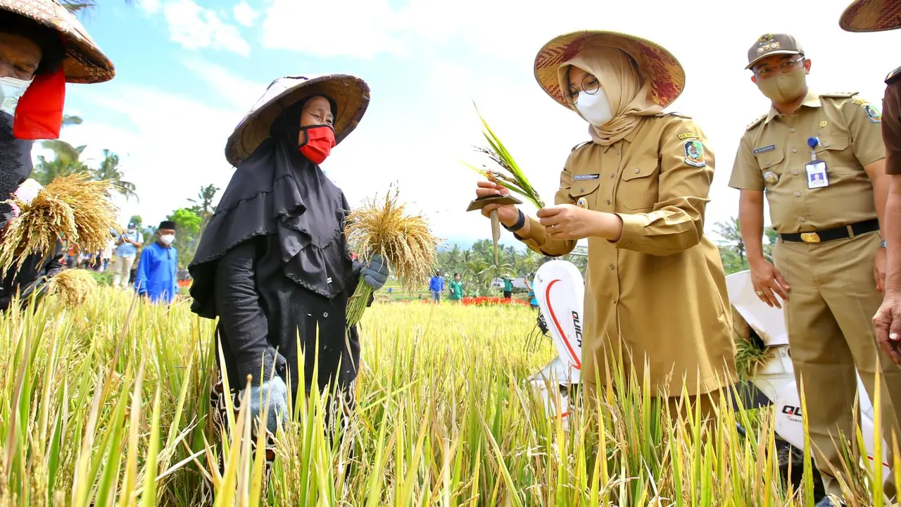 Bupati Ipuk Minta Dinas Pertanian dan Pangan Antisipasi Dampak El Nino