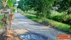 Citizen6, Cilacap: Untuk menghindari kecelakaan akibat rusaknya jalanan maka ditanami pohon pisang agar para pengendara berhati-hati.