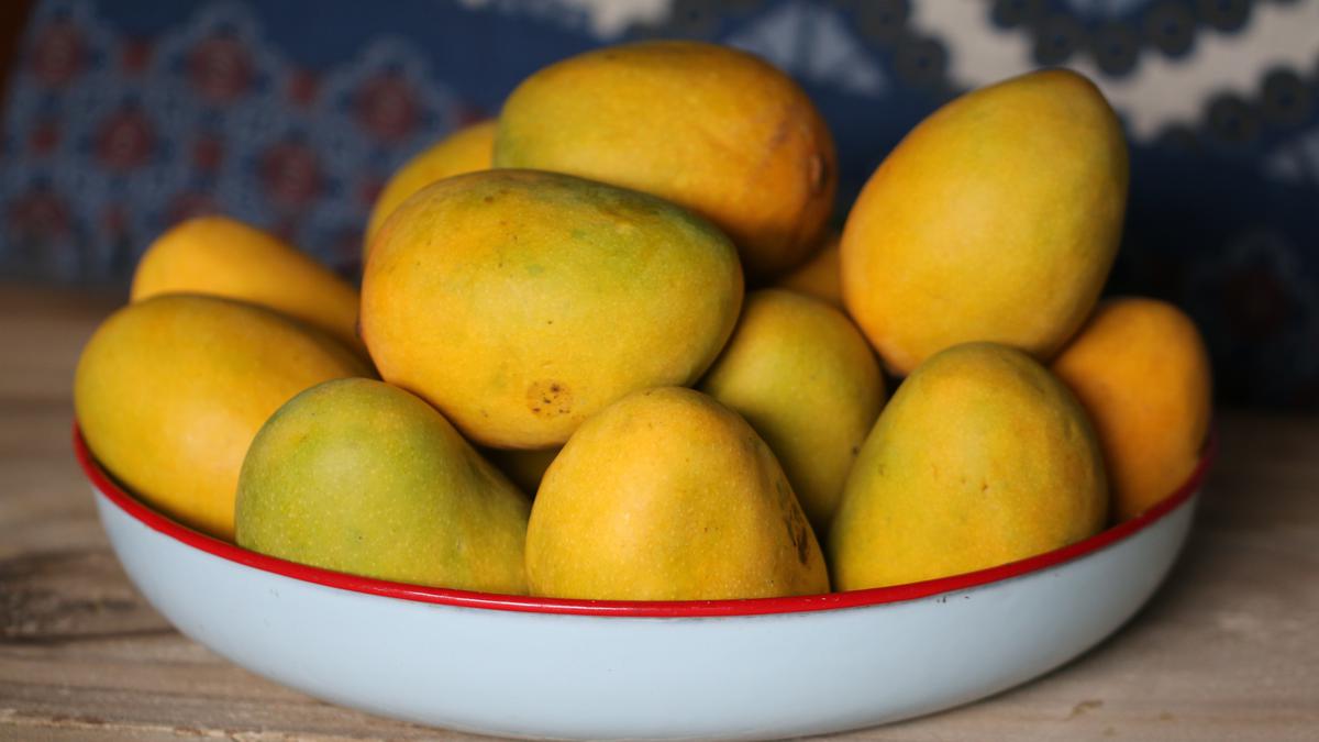 6 Cara Mengonsumsi Kulit Buah Mangga untuk Turunkan Kolesterol
