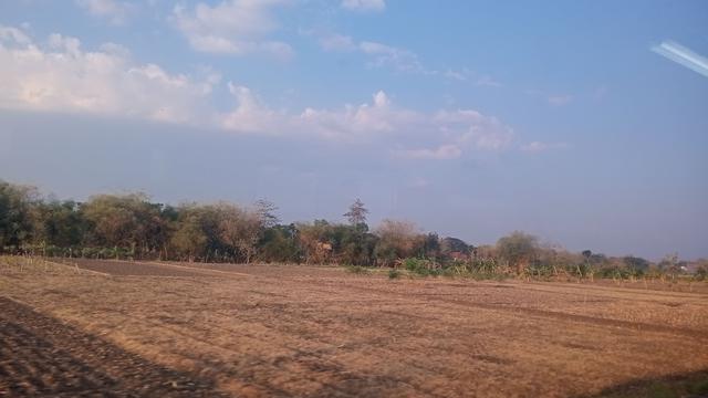 Hasil Foto Kamera Oppo A58, Kondisi Bergerak Meotret Sawah Kering