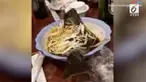 Ikan gabus kukus yang siap disantap tiba-tiba melompat dari mangkuknya di sebuah restoran di  China.