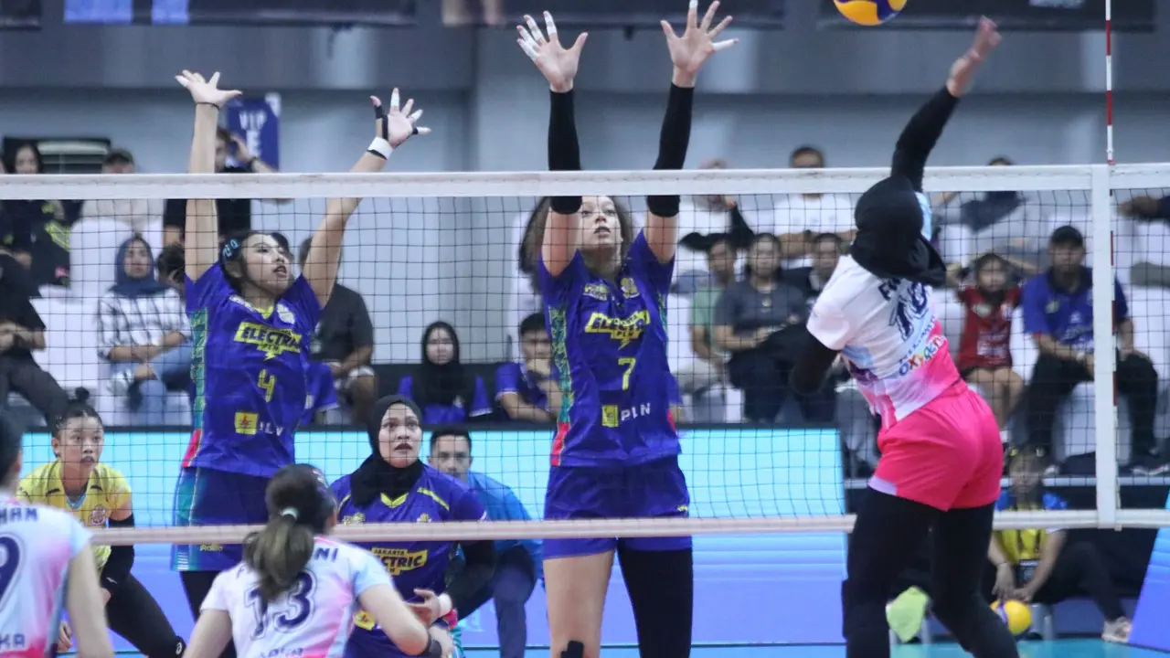 PLN Proliga
