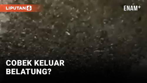 VIDEO: Cobek dibakar terus Keluar Belatung, Kok Bisa?